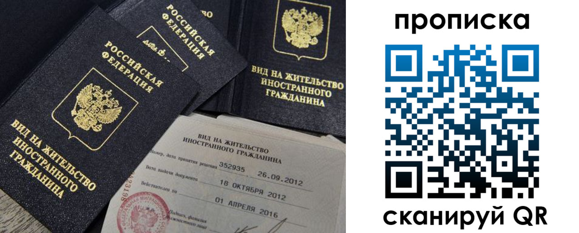 прописка в Московской области